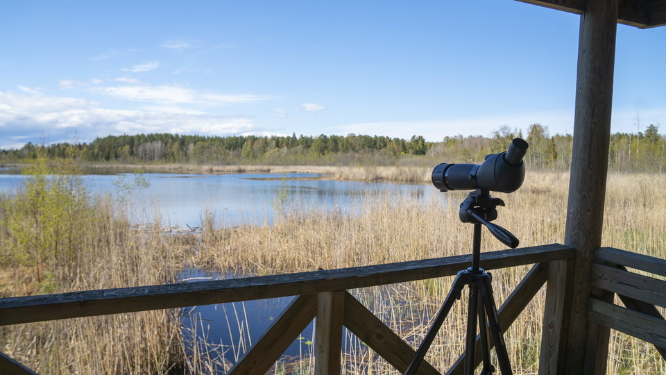 Fågelskådning vid Lugnsjöns naturreservat