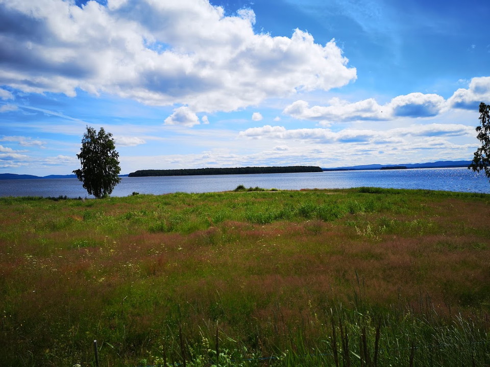 Nätterön syns i Norrdellen