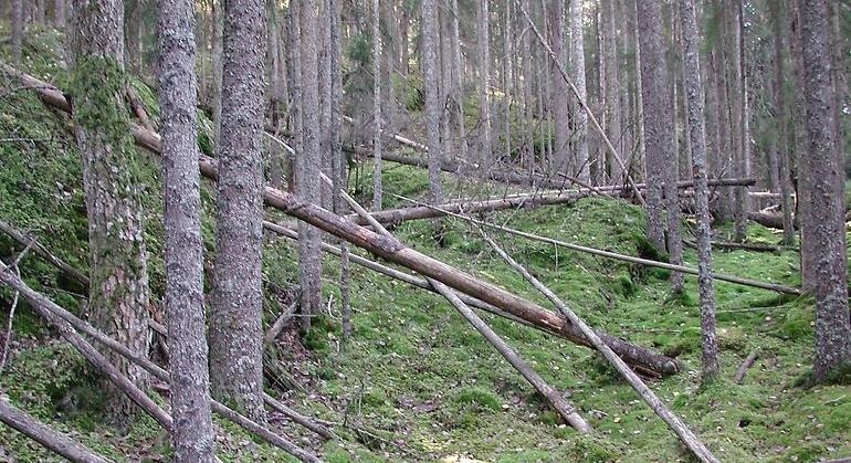 Deletjärnsåsen, Naturreservat