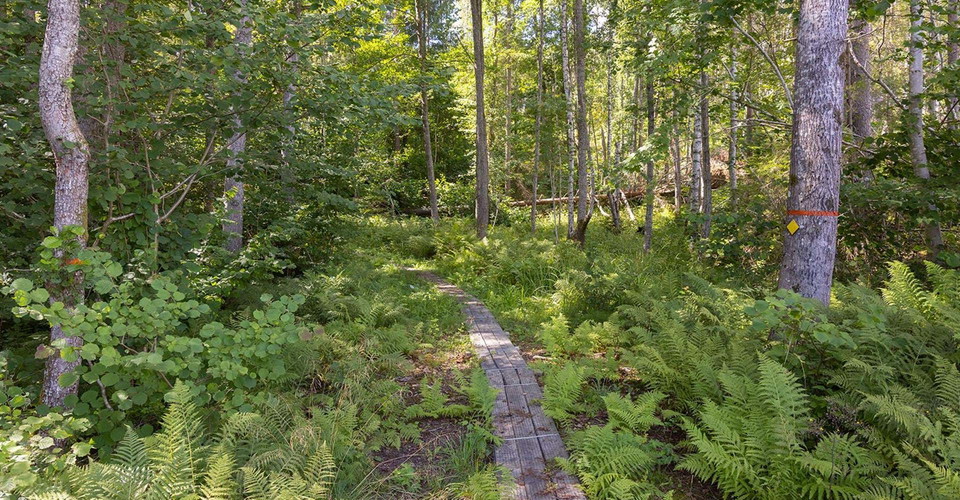 Rundslingan går delvis på skogsstigar.
Rundslinga: Godegård runt.
Motala