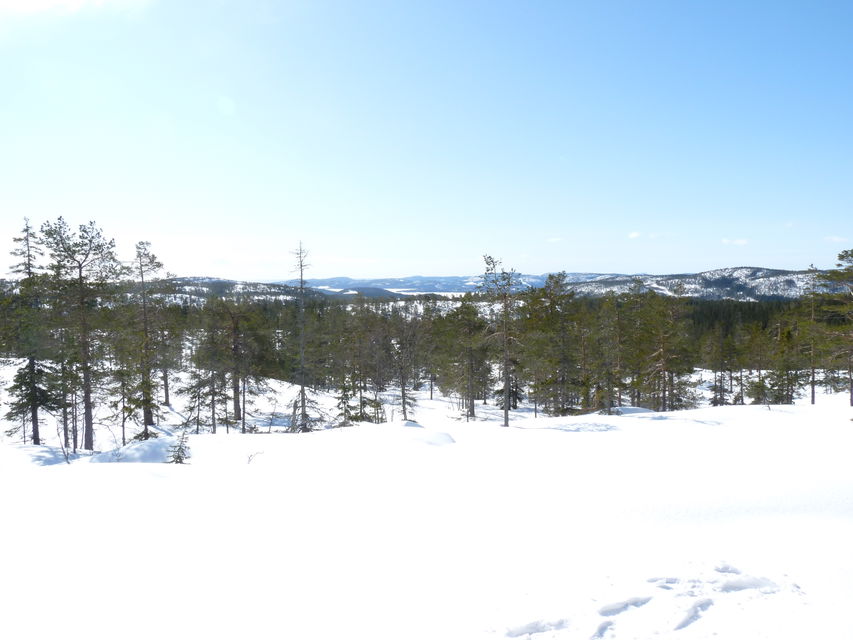 Utsikt från Långtjärnshällorna en vinterdag. Foto: Johan Uebel, Länsstyrelsen