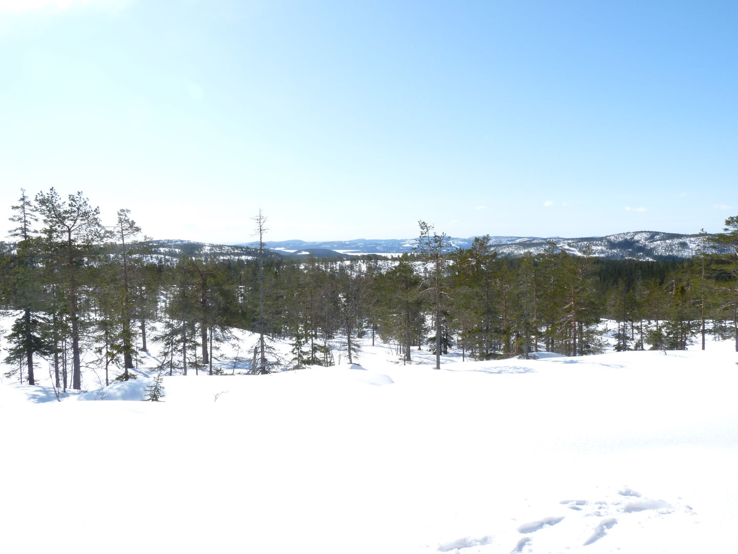 Utsikt från Långtjärnshällorna en vinterdag. Foto: Johan Uebel, Länsstyrelsen