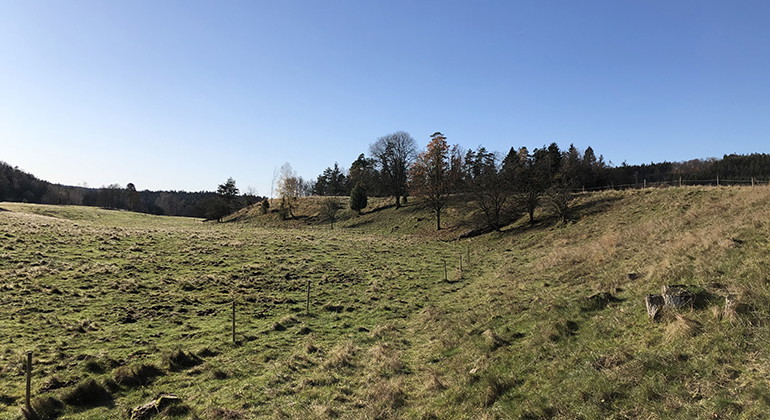 I reservatet finns en böljande hagmark. 