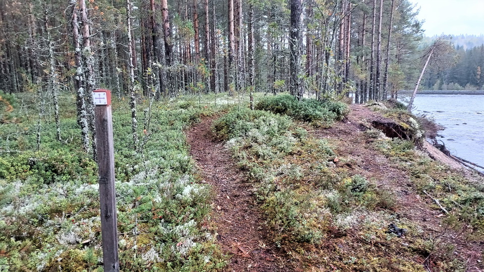Flottarstigen och helgonleden vid Kölströmmen