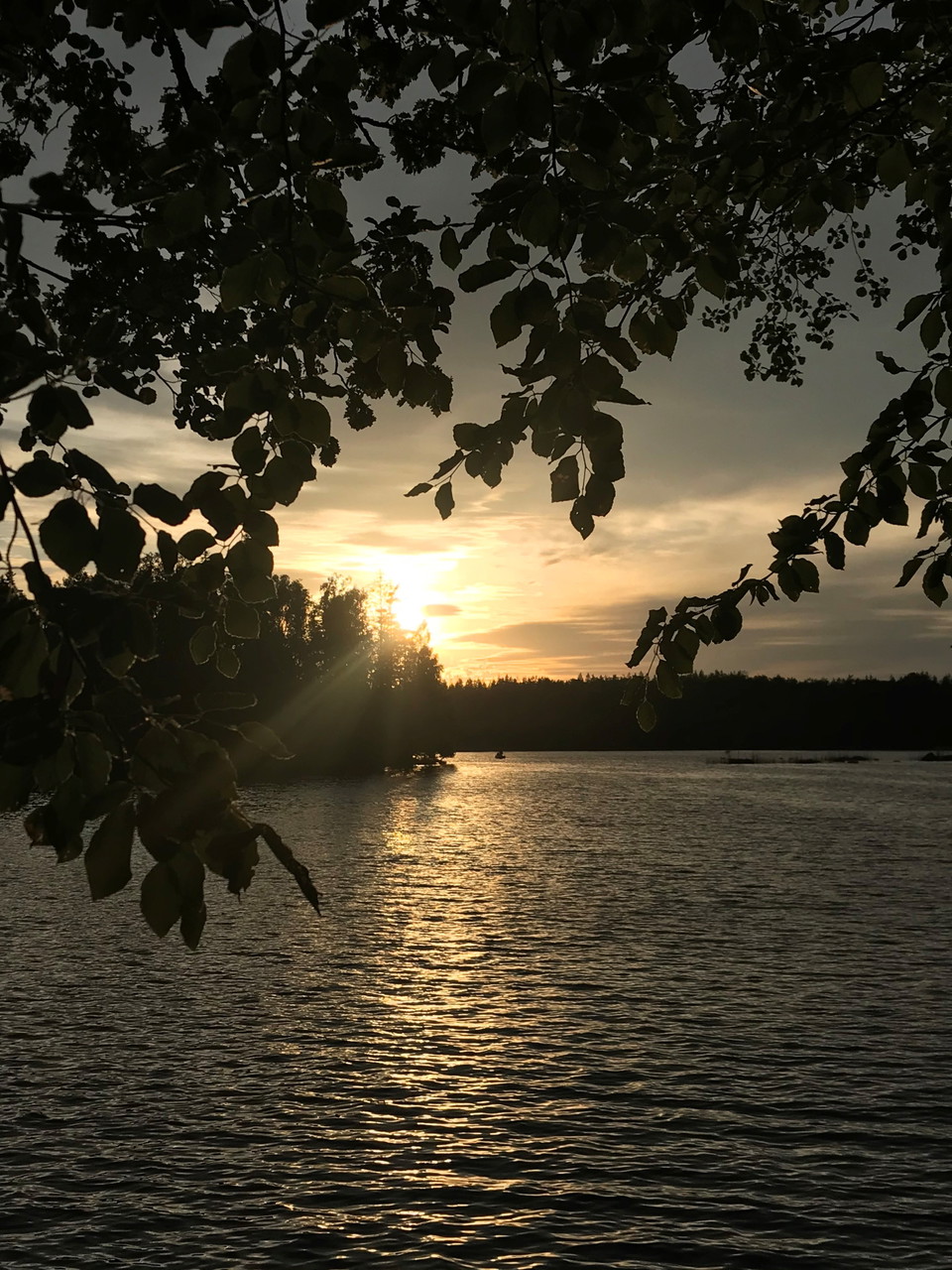 Foto: Tingsryds kommun