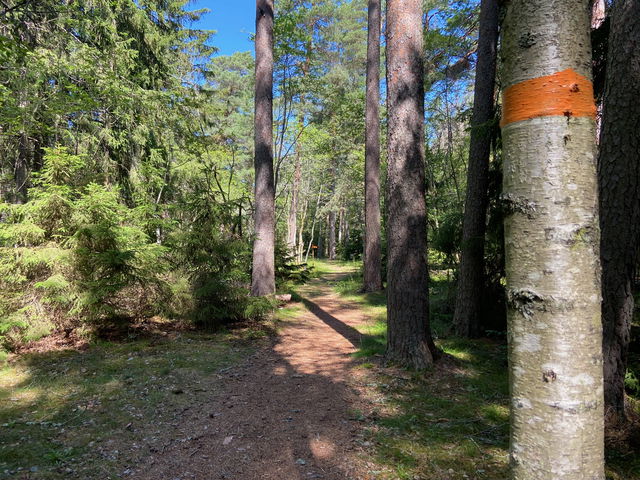Fageruddsåsen