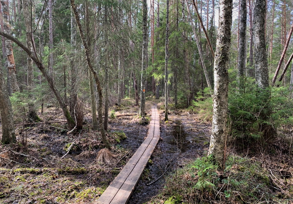 Spänger över blöta partier längs leden. 