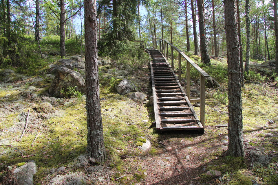 Lång trätrappa med ledstång.