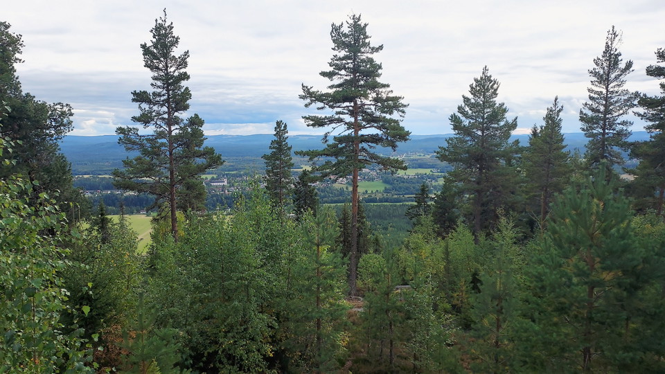 Toppleden utsikt över Färila