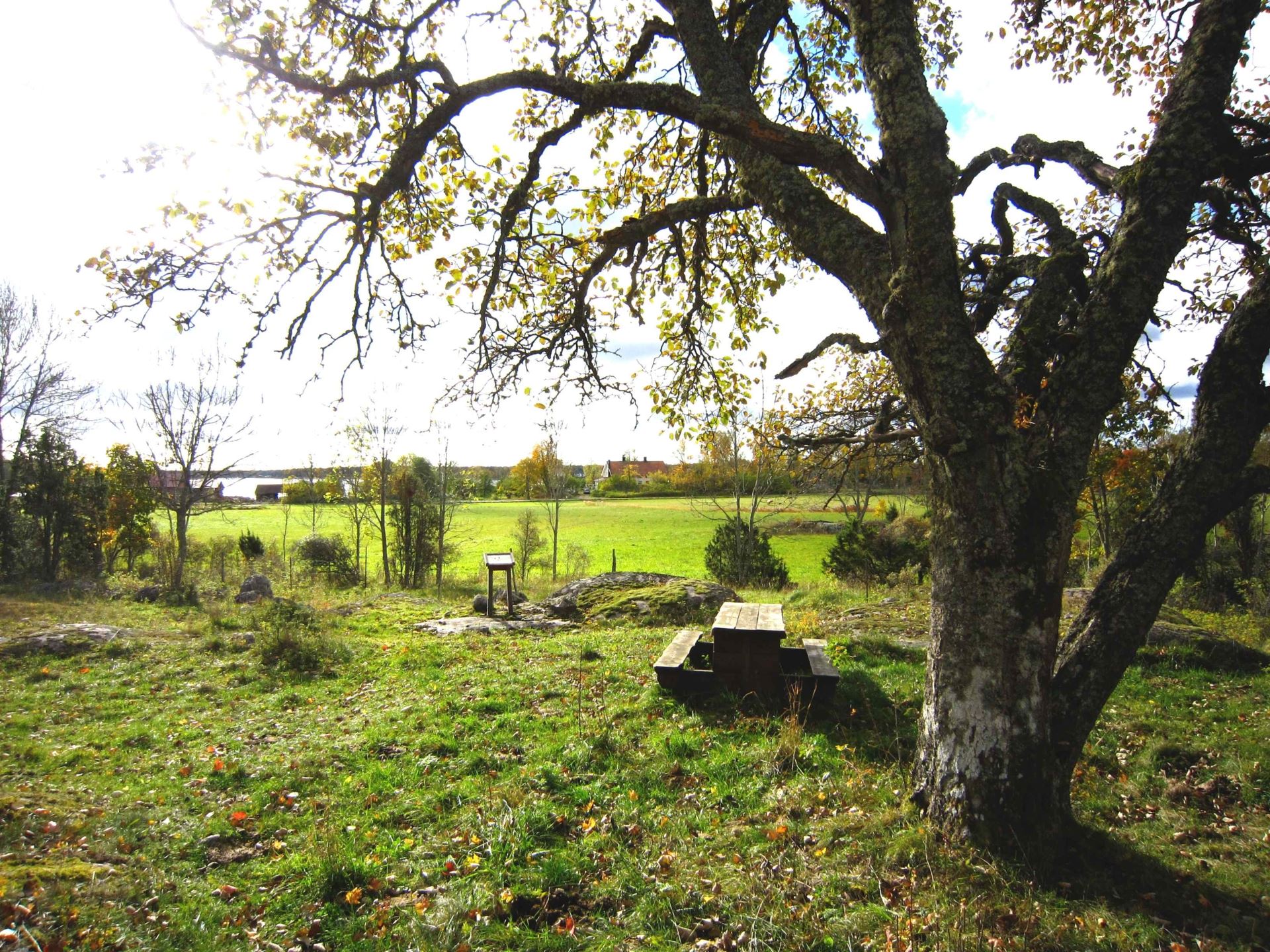 Gräsö gård naturreservat