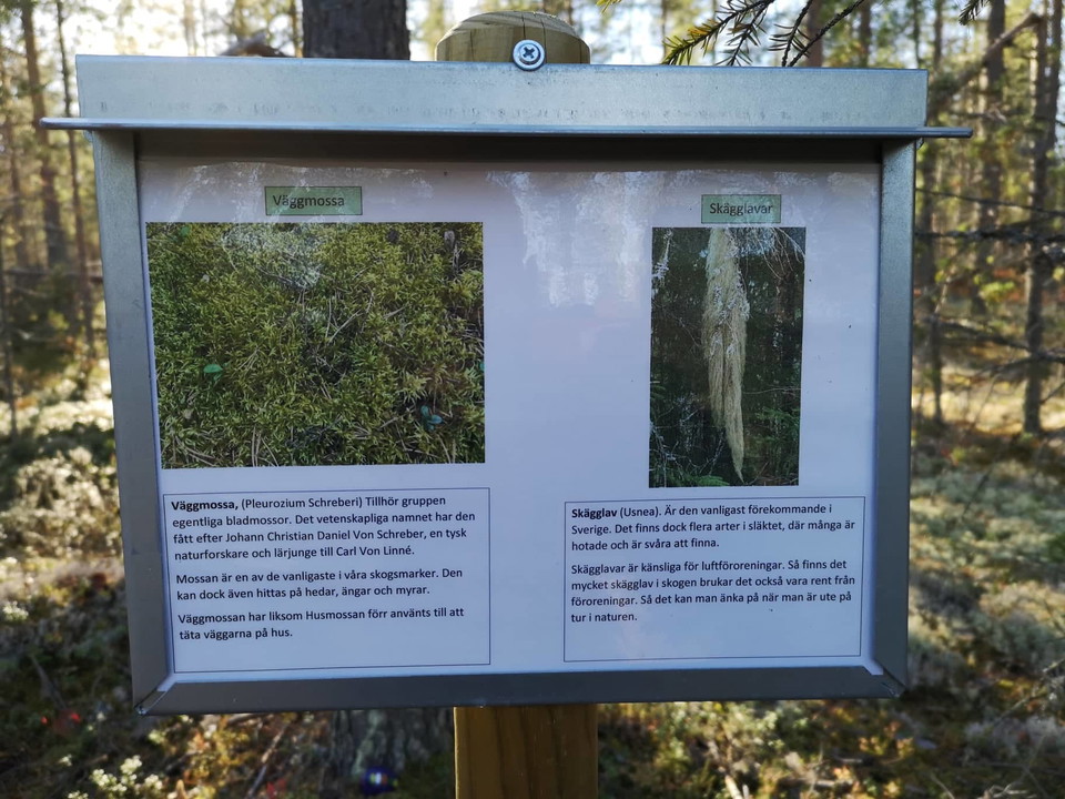 Informationsskyltar till barnslingan