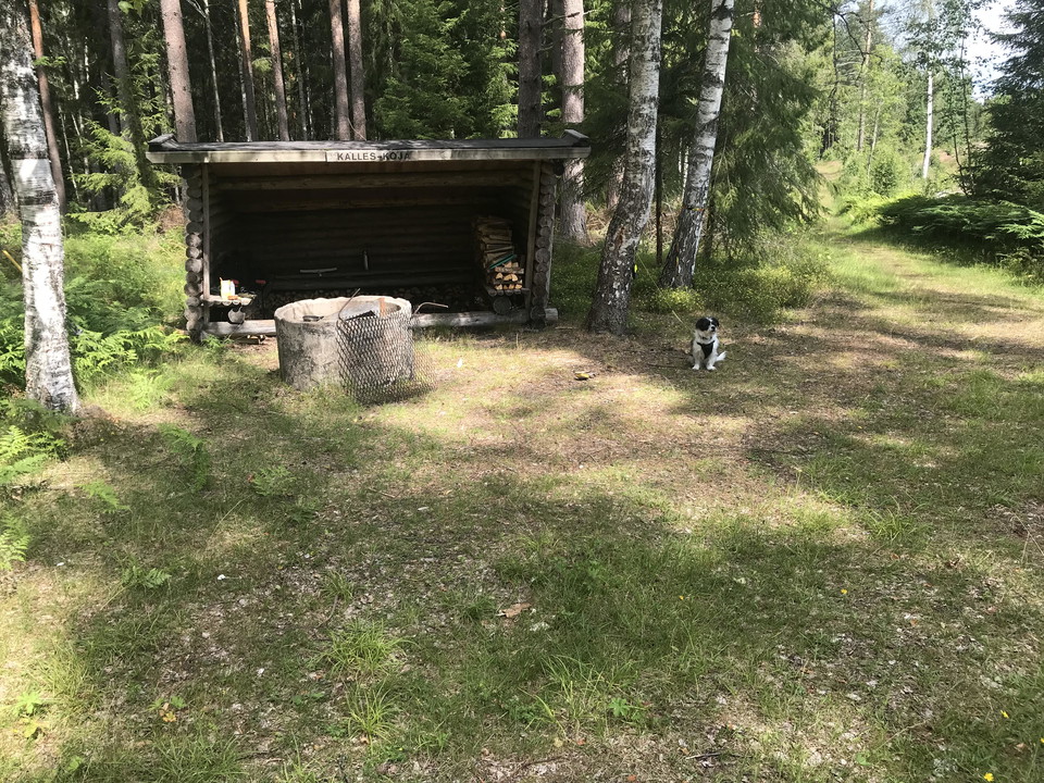 Kalles-Koja