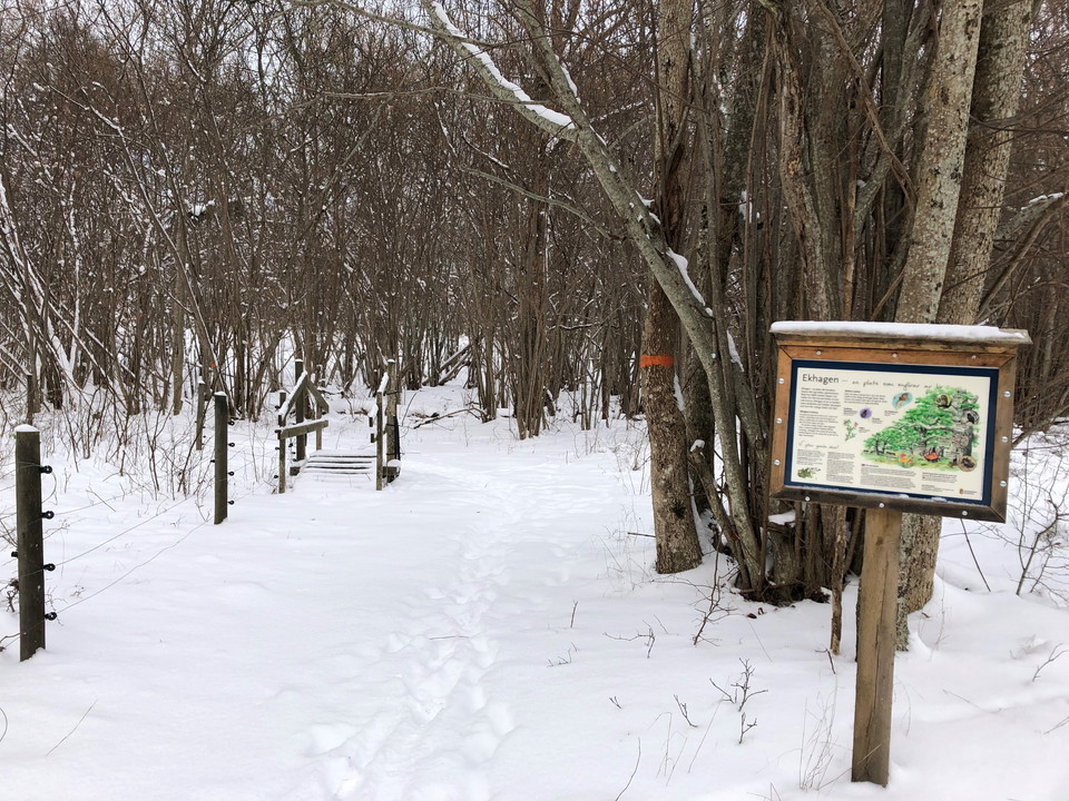 Ådö-Lagnö vandringsstig om vintern. 