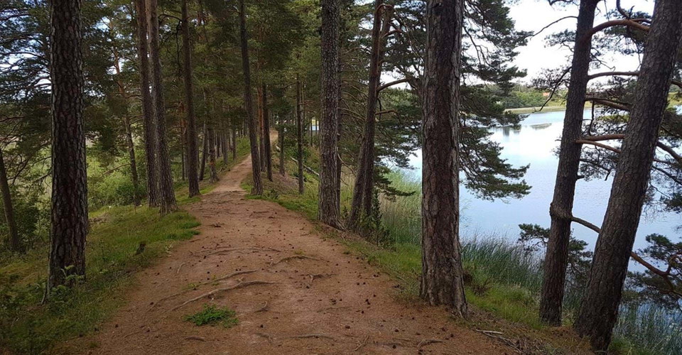 Vid skogsjön går leden på en vacker rullstensås. 
Etapp: Skogsjö--Örbacken.  
Mjölby