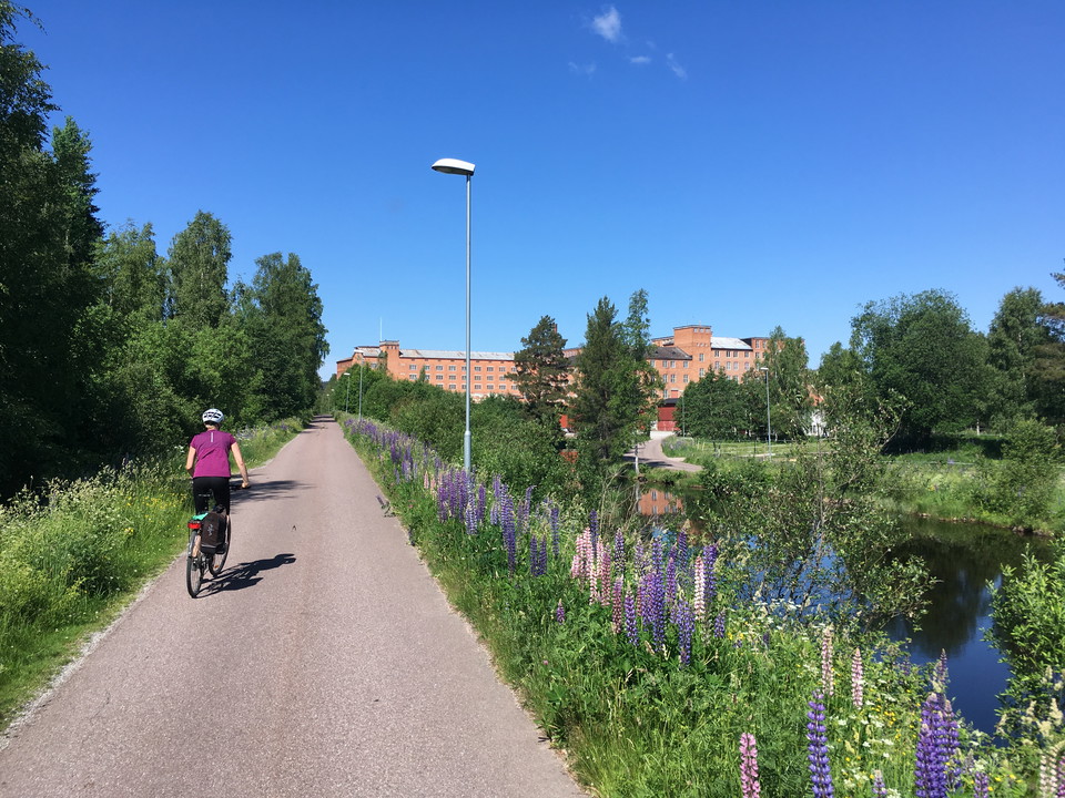 Yllefabriken i Sågmyra tornar upp sig.