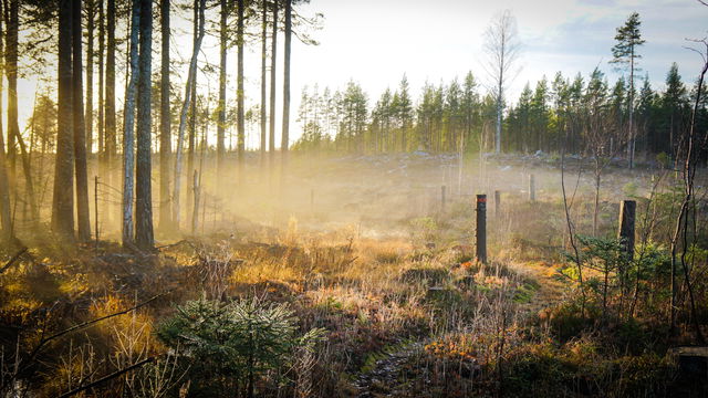 Vårdbergsleden, Fridsbacka-Vårdberget