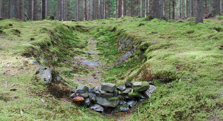 Tjärdal.