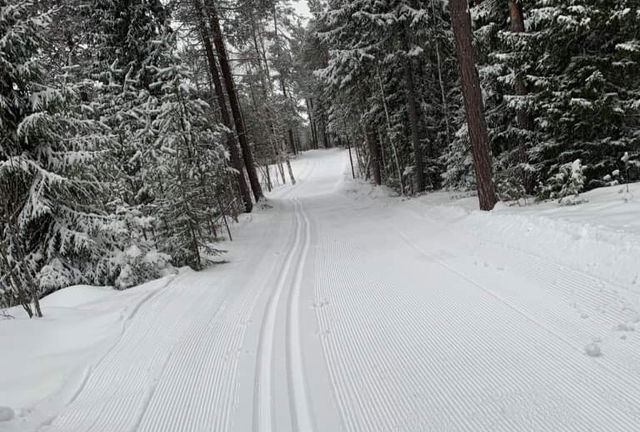 Furubergets motionsspår