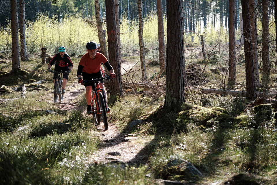 Ursut bjuder på härlig Singletrack i Jäderskogen