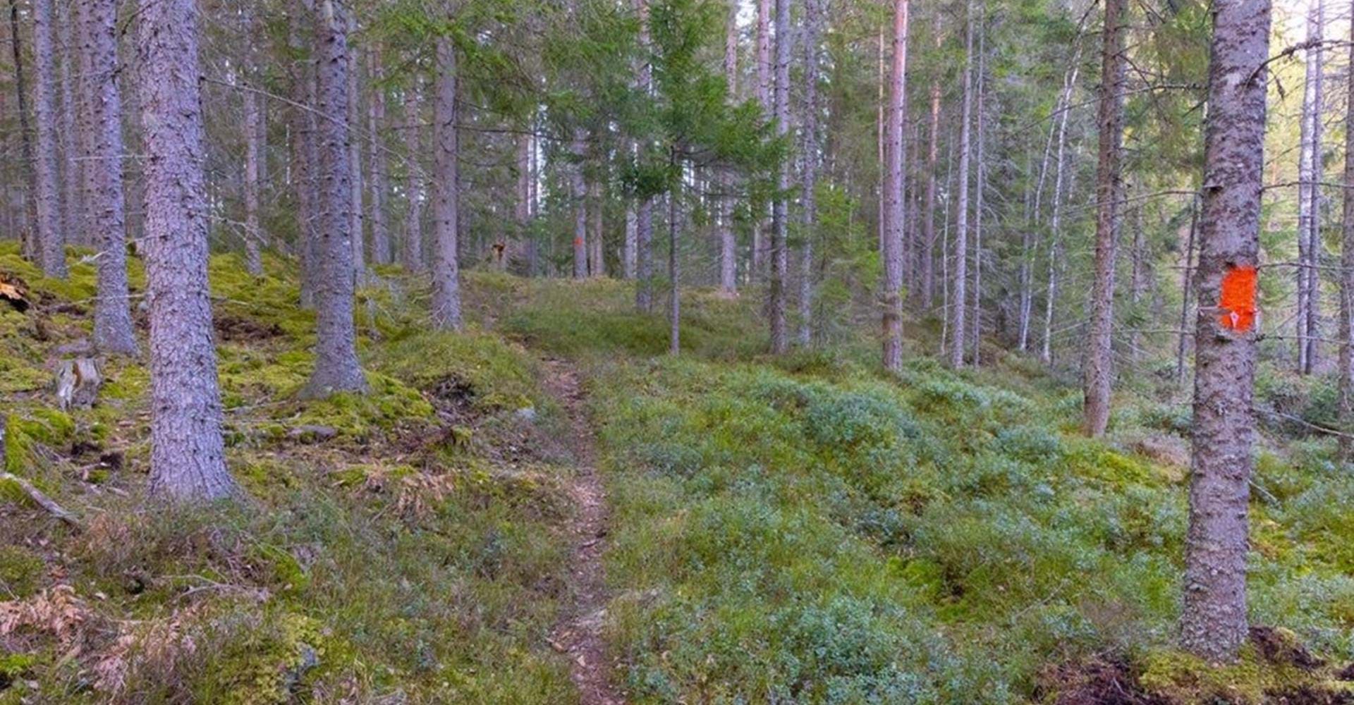   Etapp: Rejmyre-Regna och Regna-Älgsjön. Finspång