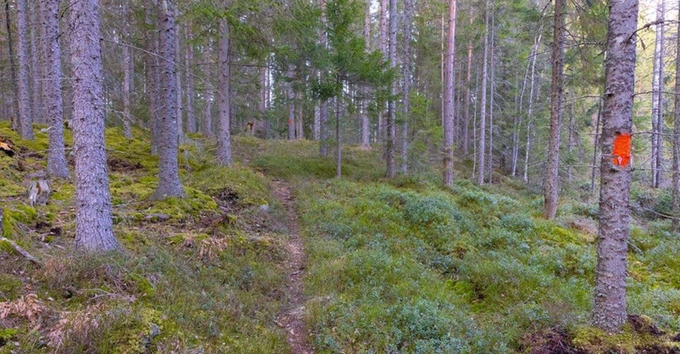   Etapp: Rejmyre-Regna och Regna-Älgsjön. Finspång