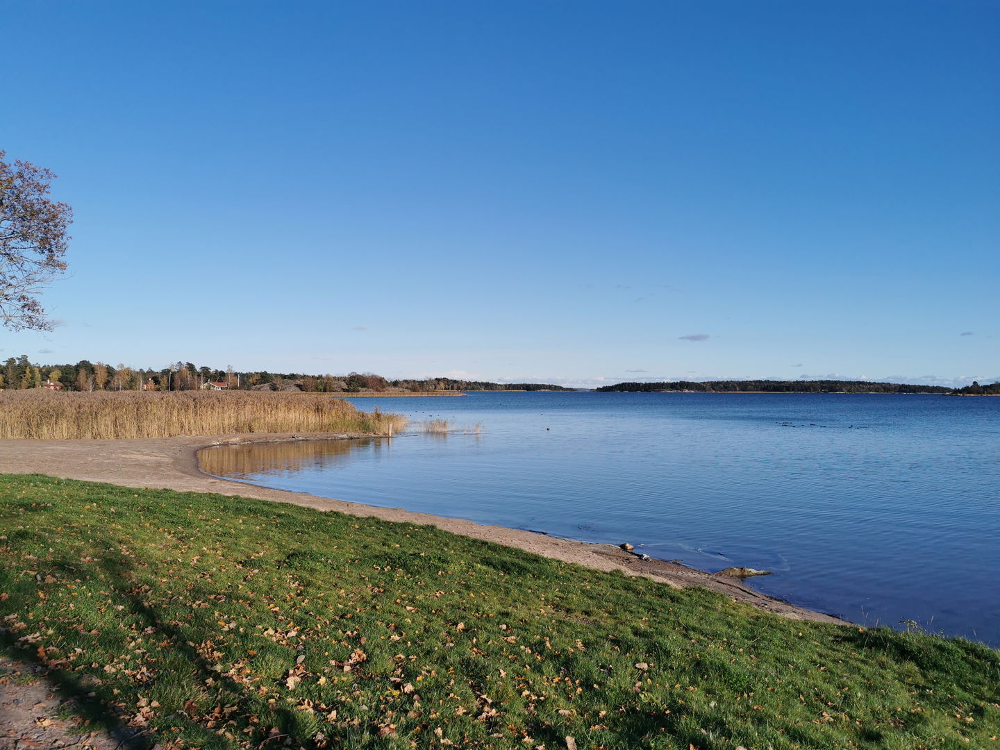 Strand på hösten