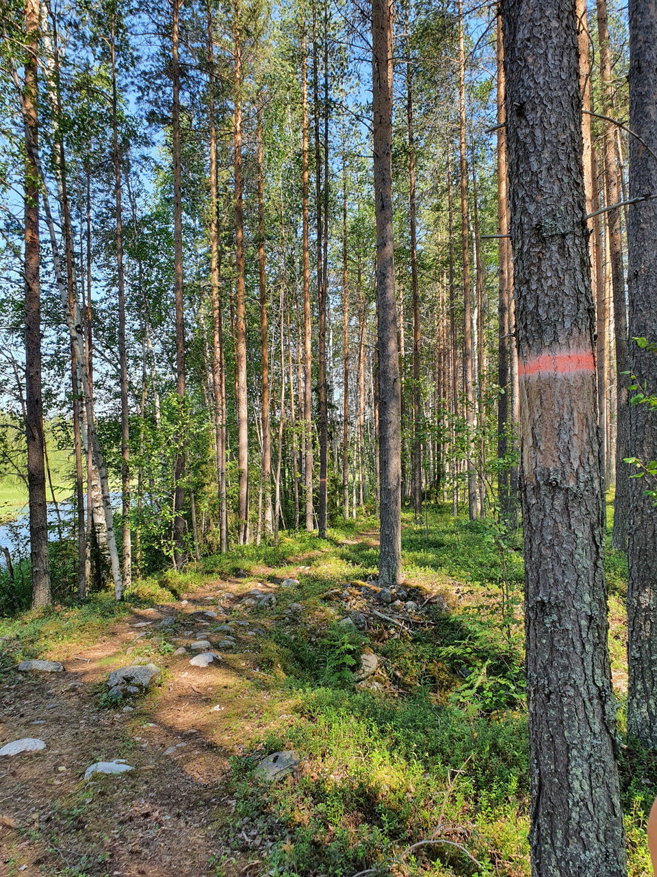 Kulturstigen är lätt att vandra