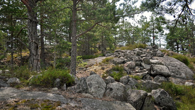 Fornborg, Havtornsrundan
