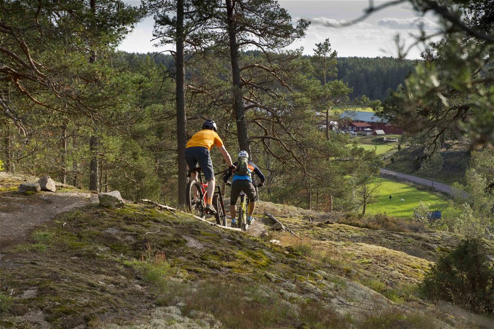 Bergs Gård mtb-cyclists