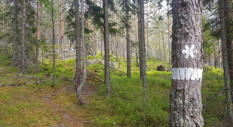 Johanna Malmgren, Länsstyrelsen i Dalarna