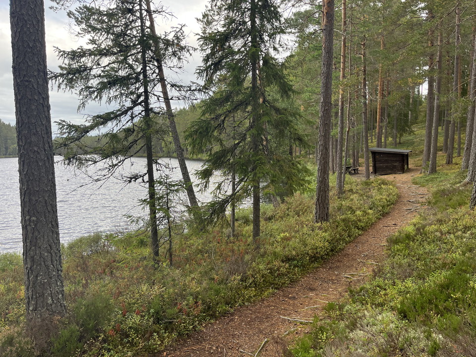 Vindskydd Långtjärnarna