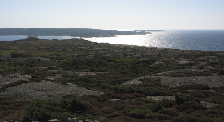 Bergigt underlag som möter hav