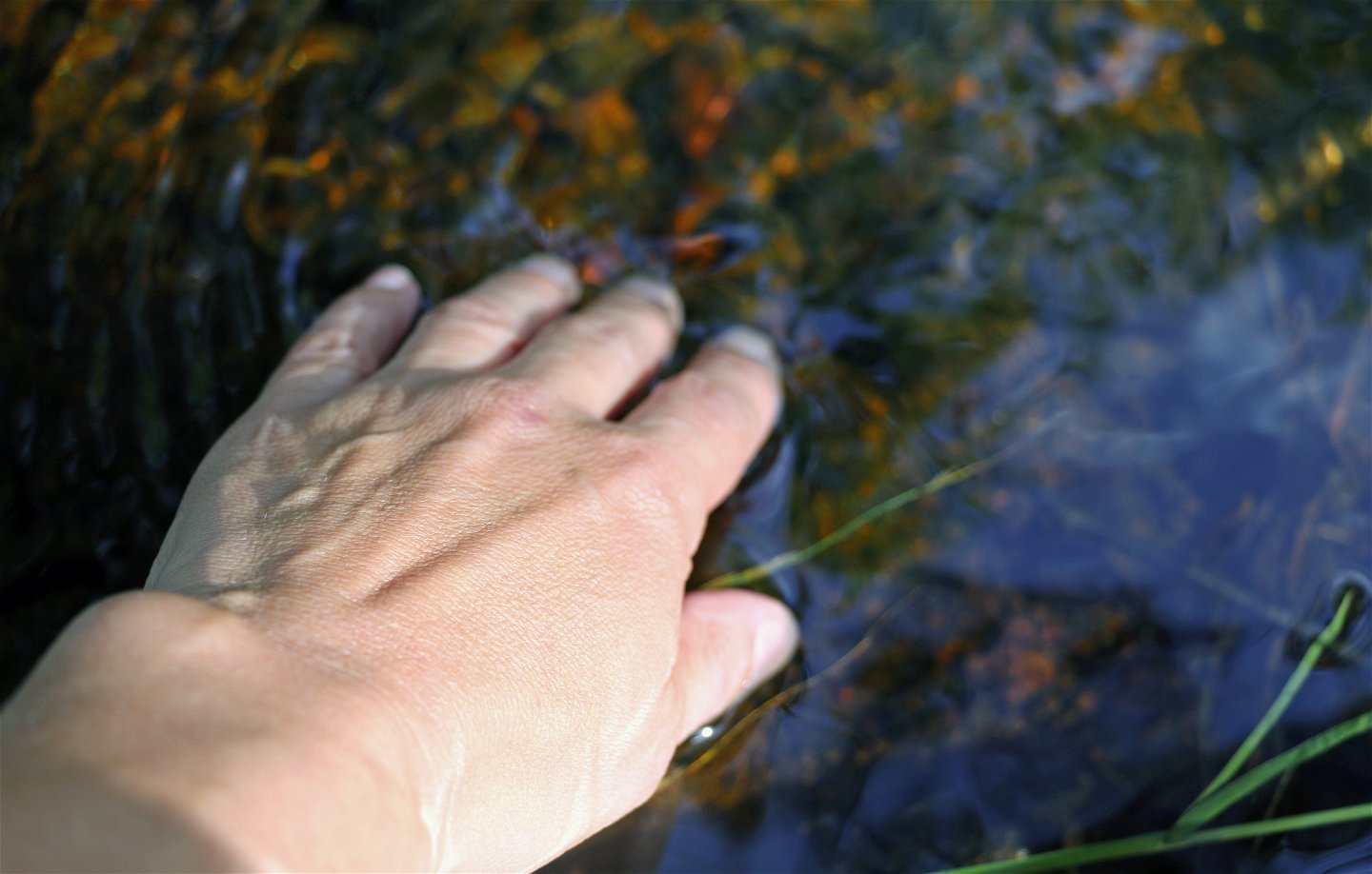 Hand sträcker sig ner mot vattnet i Forsån.
