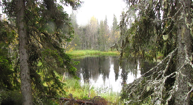 Kuolpajärvi.
