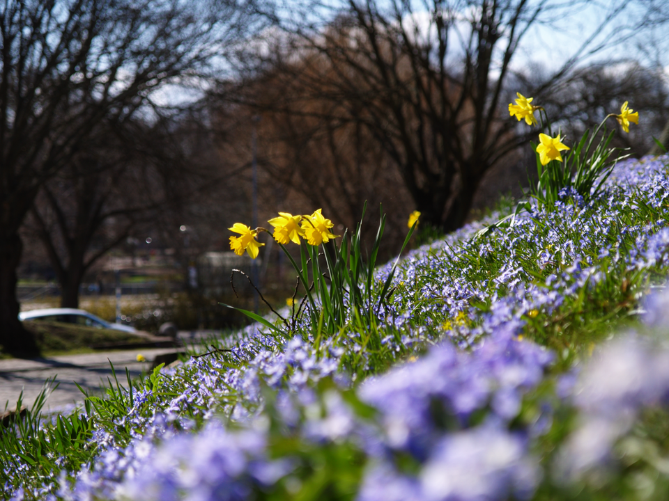 Welcome spring with Easter decorations made from natural materials