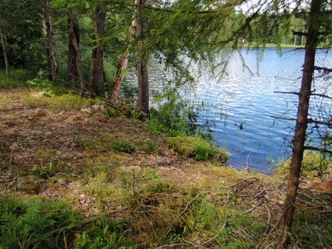 Konstdalen - rast- och iläggningsplats