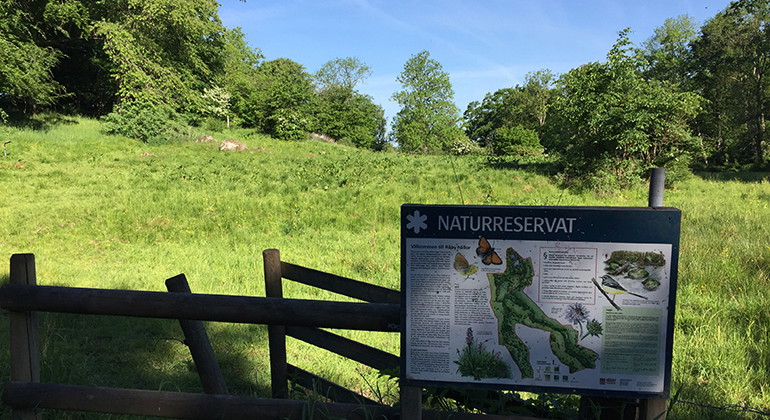 Ingång i söder.