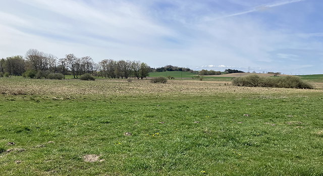 Allarps mosse, Naturreservat