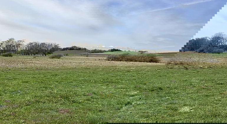 Betesmarken Allarps mosse i slättlandskap.