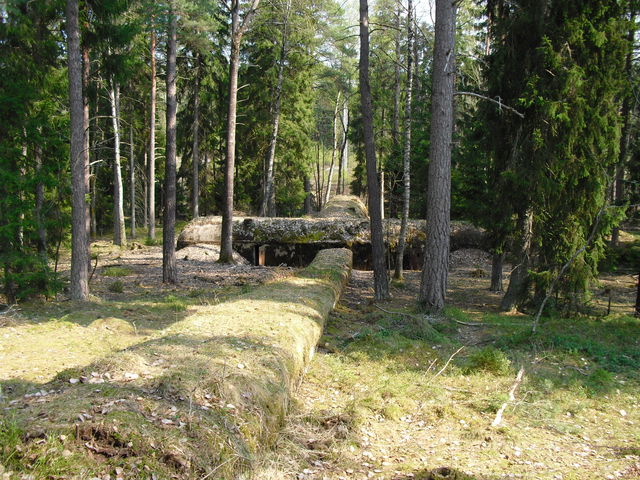 Forten vid Gullsjön