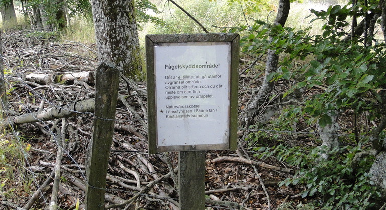 Fågelskyddsområde.
