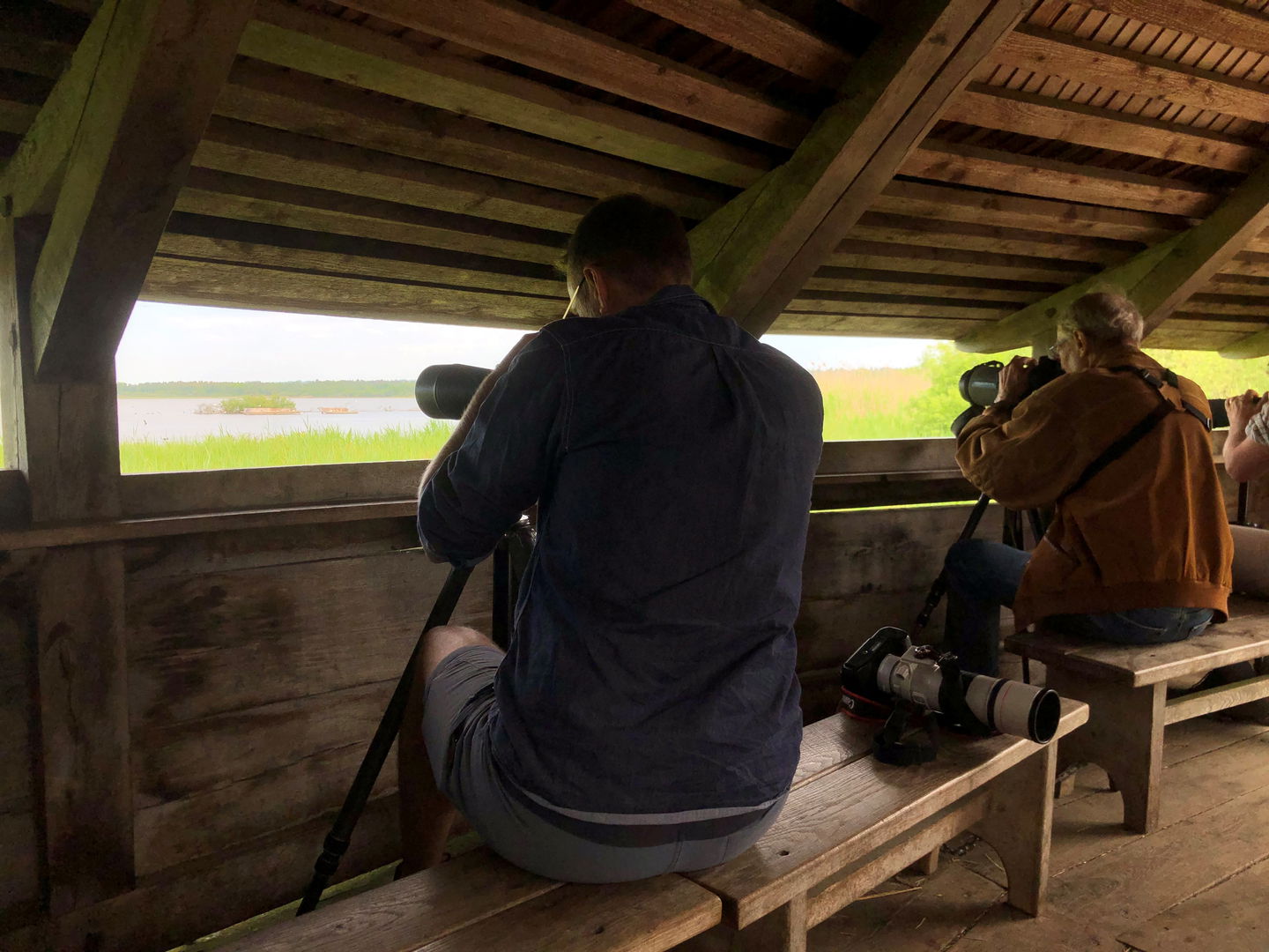 Inifrån ett gömsle, två fågelskådare sitter på en bänk tittar ut med sina tubkikare
