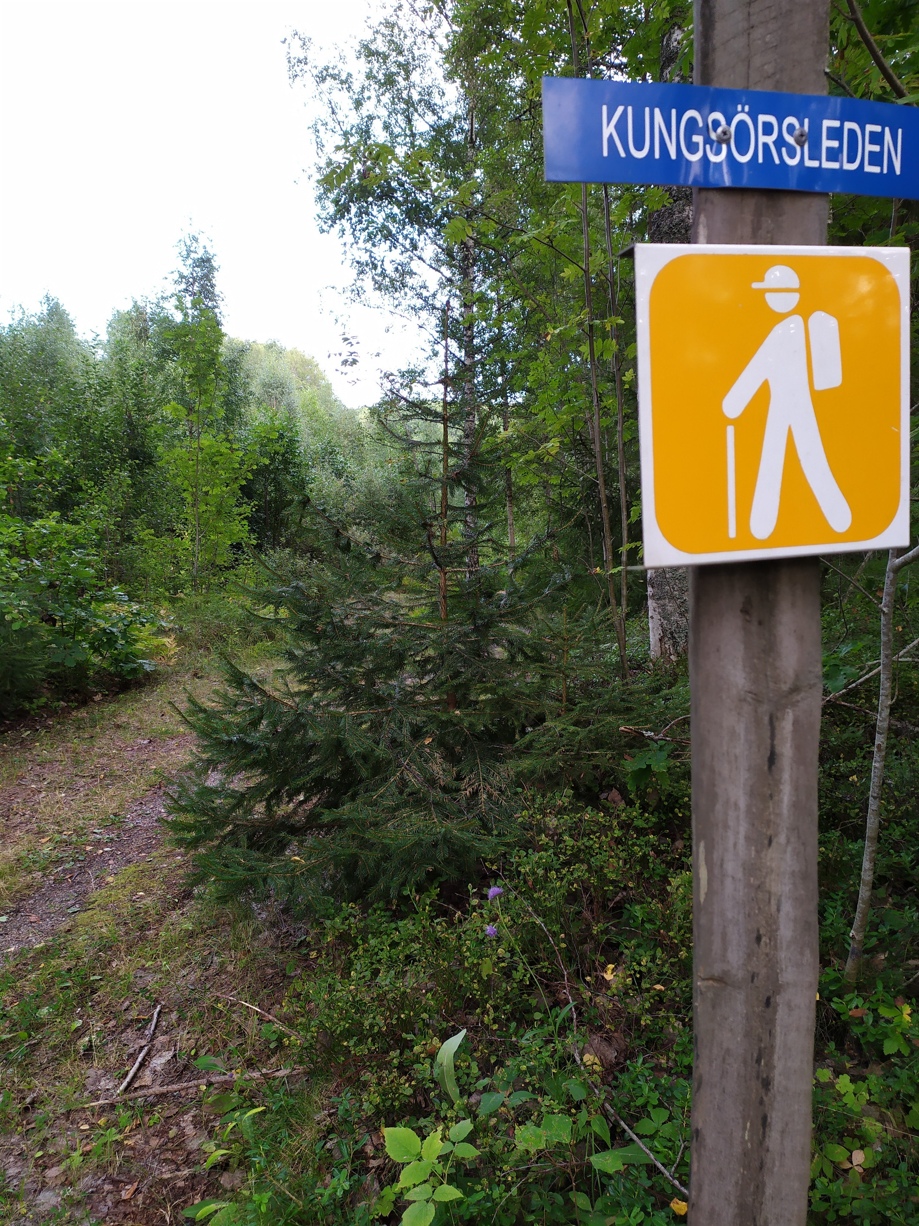 The Kungsörsleden hiking trail
