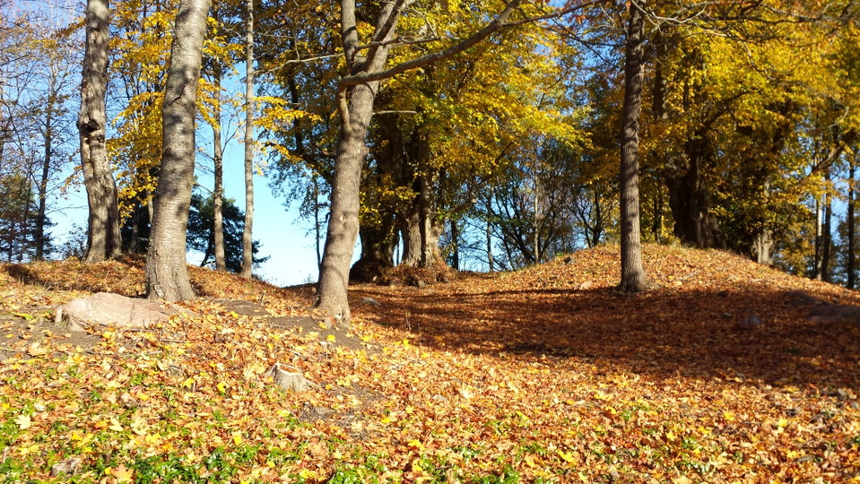 Glömsta gravfält med gravhögar.