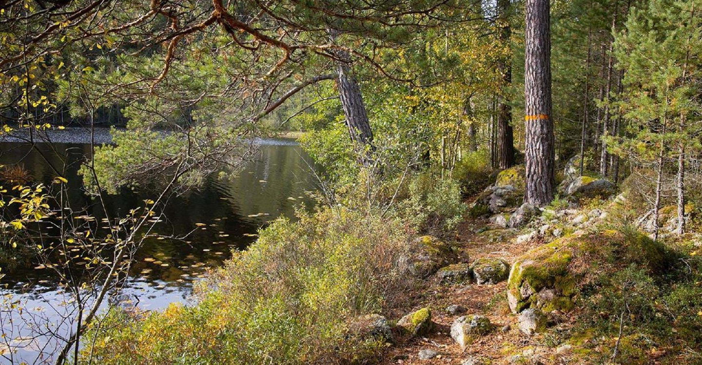 Ösjön utefter sträckan Pålehult-Rimforsa
Kinda