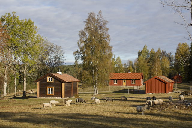 Gårdsjötorp