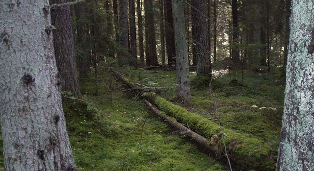 Mantorpsskogen, Naturreservat