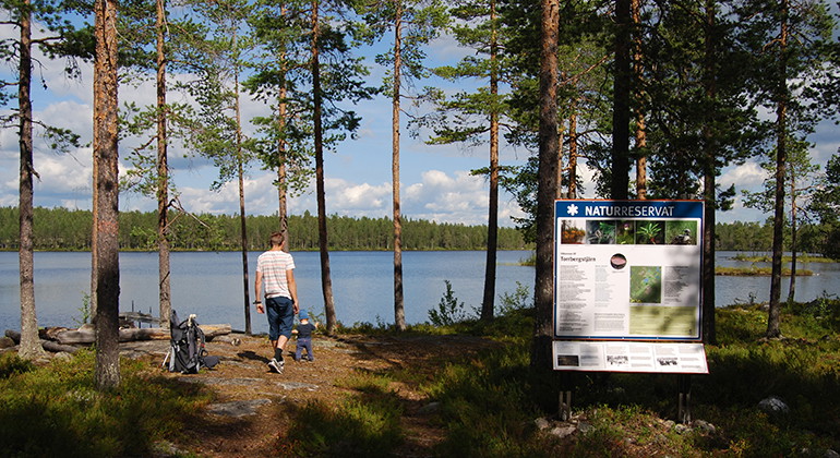 Torrbergstjärnen är ett populärt utflyktsmål.