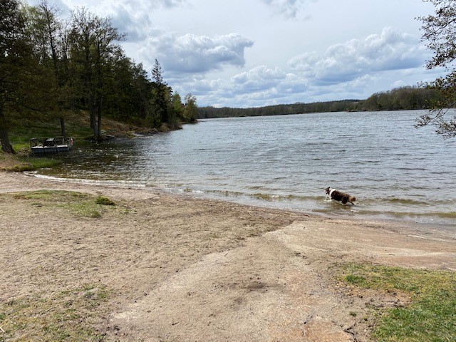 Sandstrand vid Orlången