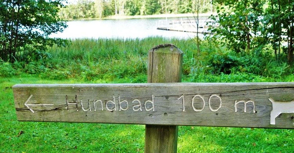 Hundbad Viggebysand
Etapp: Brokind-Viggeby
Linköping
